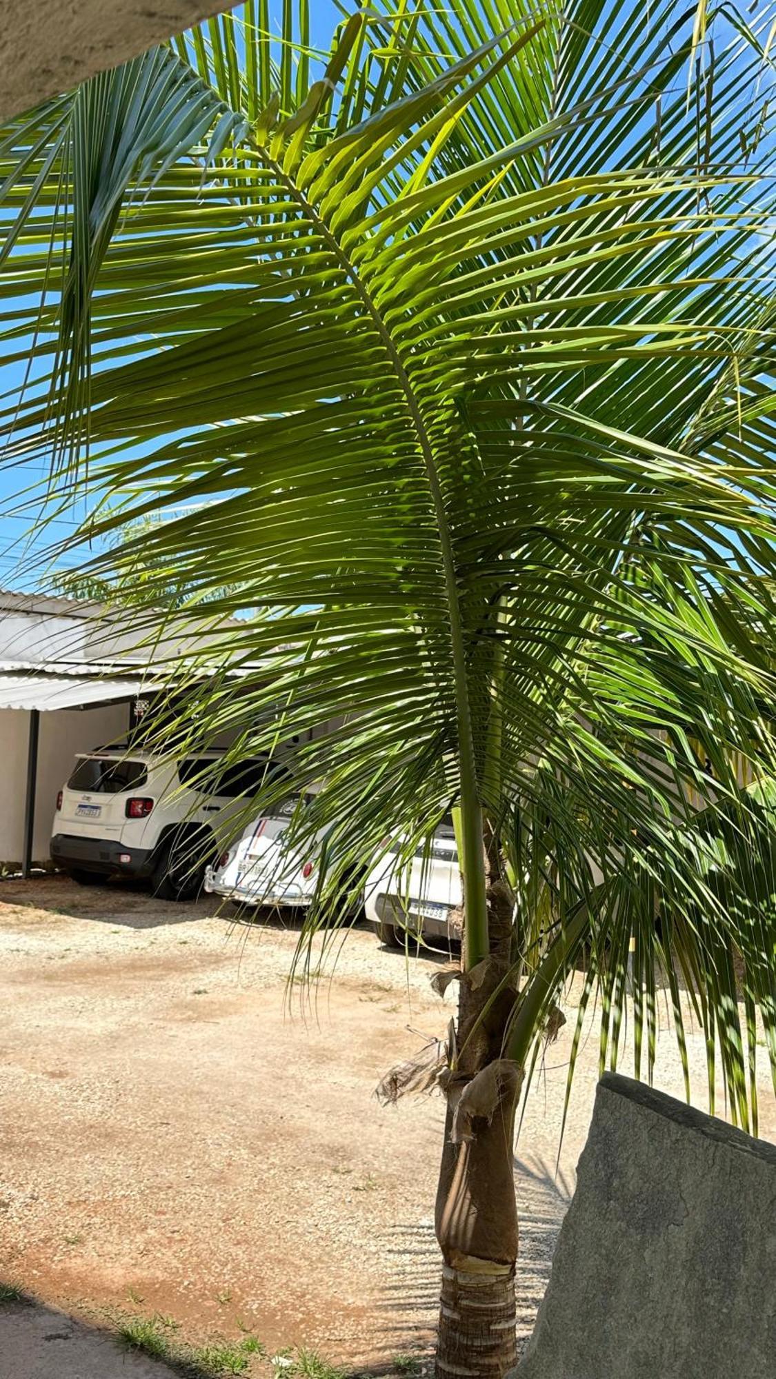 Hotel Caminho Cachoeiras